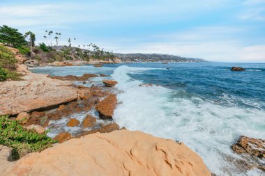 Treasure Island Park, Orange County, Kaliforniya, ABD 'deki palmiye ağaçları ile Laguna Sahili' nin güzel manzarası..