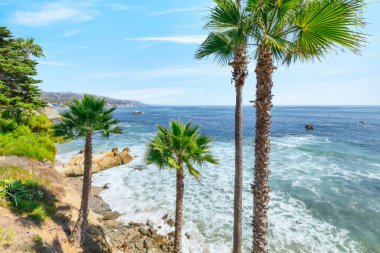 Treasure Island Park, Orange County, Kaliforniya, ABD 'deki palmiye ağaçları ile Laguna Sahili' nin güzel manzarası..