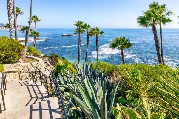 Treasure Island Park, Orange County, Kaliforniya, ABD 'deki palmiye ağaçları ile Laguna Sahili' nin güzel manzarası..