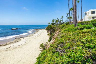 Treasure Island Park, Orange County, Kaliforniya, ABD 'deki palmiye ağaçları ile Laguna Sahili' nin güzel manzarası..