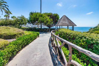 Treasure Island Park, Orange County, Kaliforniya, ABD 'deki palmiye ağaçları ile Laguna Sahili' nin güzel manzarası..