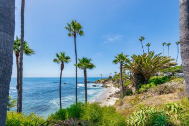 Treasure Island Park, Orange County, Kaliforniya, ABD 'deki palmiye ağaçları ile Laguna Sahili' nin güzel manzarası..