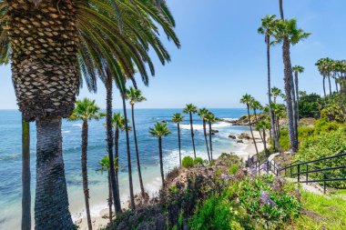 Treasure Island Park, Orange County, Kaliforniya, ABD 'deki palmiye ağaçları ile Laguna Sahili' nin güzel manzarası..