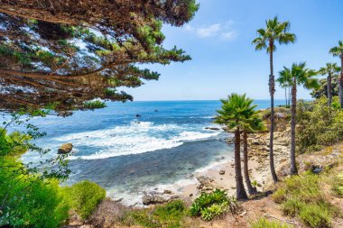 Treasure Island Park, Orange County, Kaliforniya, ABD 'deki palmiye ağaçları ile Laguna Sahili' nin güzel manzarası..