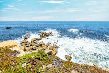 Treasure Island Park, Orange County, Kaliforniya, ABD 'deki palmiye ağaçları ile Laguna Sahili' nin güzel manzarası..