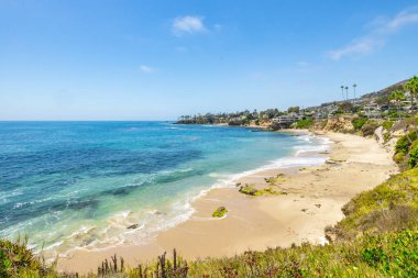 Treasure Island Park, Orange County, Kaliforniya, ABD 'deki palmiye ağaçları ile Laguna Sahili' nin güzel manzarası..
