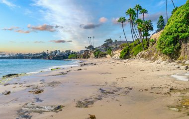 Treasure Island Park, Orange County, Kaliforniya, ABD 'deki palmiye ağaçları ile Laguna Sahili' nin güzel manzarası..