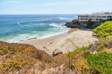 Treasure Island Park, Orange County, Kaliforniya, ABD 'deki palmiye ağaçları ile Laguna Sahili' nin güzel manzarası..