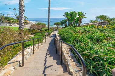 Treasure Island Park, Orange County, Kaliforniya, ABD 'deki palmiye ağaçları ile Laguna Sahili' nin güzel manzarası..