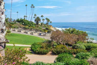 Treasure Island Park, Orange County, Kaliforniya, ABD 'deki palmiye ağaçları ile Laguna Sahili' nin güzel manzarası..