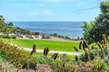 Treasure Island Park, Orange County, Kaliforniya, ABD 'deki palmiye ağaçları ile Laguna Sahili' nin güzel manzarası..