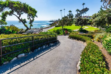 Treasure Island Park, Orange County, Kaliforniya, ABD 'deki palmiye ağaçları ile Laguna Sahili' nin güzel manzarası..