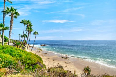 Treasure Island Park, Orange County, Kaliforniya, ABD 'deki palmiye ağaçları ile Laguna Sahili' nin güzel manzarası..