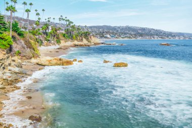 Treasure Island Park, Orange County, Kaliforniya, ABD 'deki palmiye ağaçları ile Laguna Sahili' nin güzel manzarası..