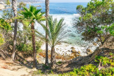 Treasure Island Park, Orange County, Kaliforniya, ABD 'deki palmiye ağaçları ile Laguna Sahili' nin güzel manzarası..