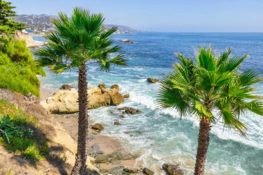 Treasure Island Park, Orange County, Kaliforniya, ABD 'deki palmiye ağaçları ile Laguna Sahili' nin güzel manzarası..