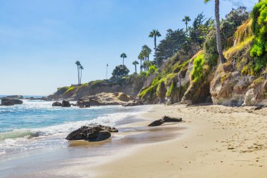 Treasure Island Park, Orange County, Kaliforniya, ABD 'deki palmiye ağaçları ile Laguna Sahili' nin güzel manzarası..