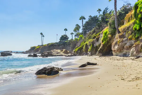 Treasure Island Park, Orange County, Kaliforniya, ABD 'deki palmiye ağaçları ile Laguna Sahili' nin güzel manzarası..