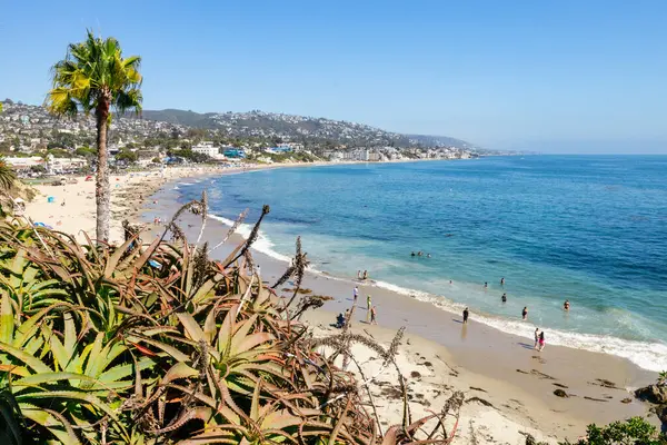 Treasure Island Park, Orange County, Kaliforniya, ABD 'deki palmiye ağaçları ile Laguna Sahili' nin güzel manzarası..