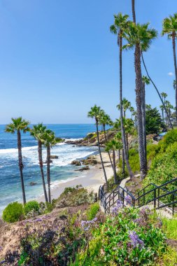Treasure Island Park, Orange County, Kaliforniya, ABD 'deki palmiye ağaçları ile Laguna Sahili' nin güzel manzarası..