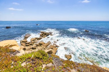 Treasure Island Park, Orange County, Kaliforniya, ABD 'deki palmiye ağaçları ile Laguna Sahili' nin güzel manzarası..