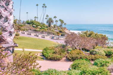 Treasure Island Park, Orange County, Kaliforniya, ABD 'deki palmiye ağaçları ile Laguna Sahili' nin güzel manzarası..