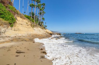 Treasure Island Park, Orange County, Kaliforniya, ABD 'deki palmiye ağaçları ile Laguna Sahili' nin güzel manzarası..