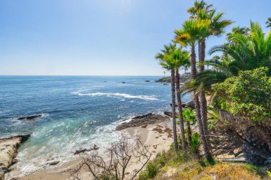 Treasure Island Park, Orange County, Kaliforniya, ABD 'deki palmiye ağaçları ile Laguna Sahili' nin güzel manzarası..