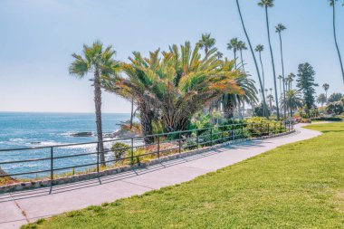 Treasure Island Park, Orange County, Kaliforniya, ABD 'deki palmiye ağaçları ile Laguna Sahili' nin güzel manzarası..