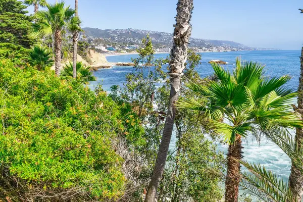 Treasure Island Park, Orange County, Kaliforniya, ABD 'deki palmiye ağaçları ile Laguna Sahili' nin güzel manzarası..