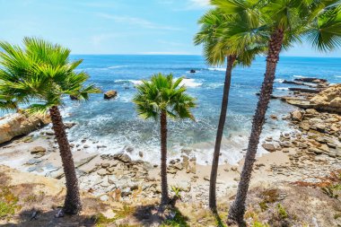 Treasure Island Park, Orange County, Kaliforniya, ABD 'deki palmiye ağaçları ile Laguna Sahili' nin güzel manzarası..