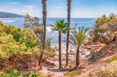 Treasure Island Park, Orange County, Kaliforniya, ABD 'deki palmiye ağaçları ile Laguna Sahili' nin güzel manzarası..