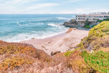 Treasure Island Park, Orange County, Kaliforniya, ABD 'deki palmiye ağaçları ile Laguna Sahili' nin güzel manzarası..