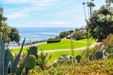 Treasure Island Park, Orange County, Kaliforniya, ABD 'deki palmiye ağaçları ile Laguna Sahili' nin güzel manzarası..