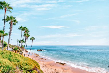 Treasure Island Park, Orange County, Kaliforniya, ABD 'deki palmiye ağaçları ile Laguna Sahili' nin güzel manzarası..