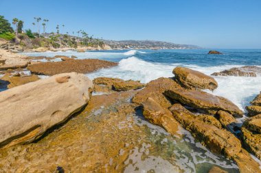 Treasure Island Park, Orange County, Kaliforniya, ABD 'deki palmiye ağaçları ile Laguna Sahili' nin güzel manzarası..