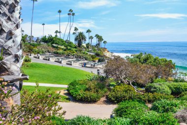 Treasure Island Park, Orange County, Kaliforniya, ABD 'deki palmiye ağaçları ile Laguna Sahili' nin güzel manzarası..