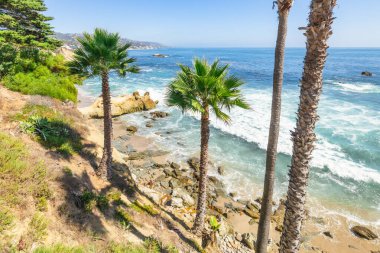 Treasure Island Park, Orange County, Kaliforniya, ABD 'deki palmiye ağaçları ile Laguna Sahili' nin güzel manzarası..