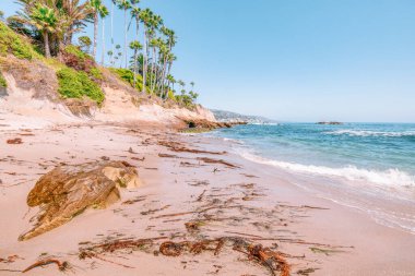 Treasure Island Park, Orange County, Kaliforniya, ABD 'deki palmiye ağaçları ile Laguna Sahili' nin güzel manzarası..
