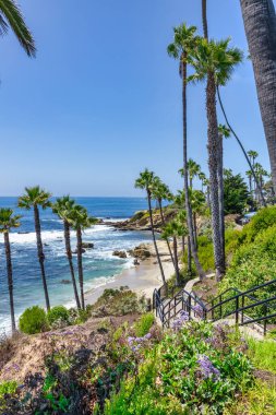 Treasure Island Park, Orange County, Kaliforniya, ABD 'deki palmiye ağaçları ile Laguna Sahili' nin güzel manzarası..