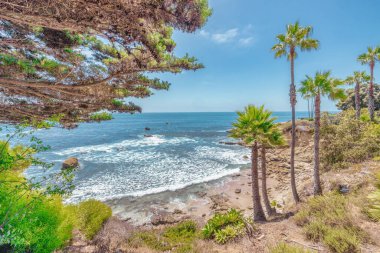 Treasure Island Park, Orange County, Kaliforniya, ABD 'deki palmiye ağaçları ile Laguna Sahili' nin güzel manzarası..