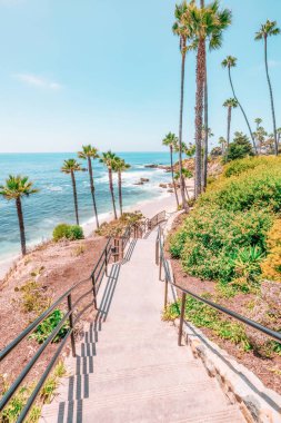 Treasure Island Park, Orange County, Kaliforniya, ABD 'deki palmiye ağaçları ile Laguna Sahili' nin güzel manzarası..