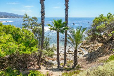 Treasure Island Park, Orange County, Kaliforniya, ABD 'deki palmiye ağaçları ile Laguna Sahili' nin güzel manzarası..