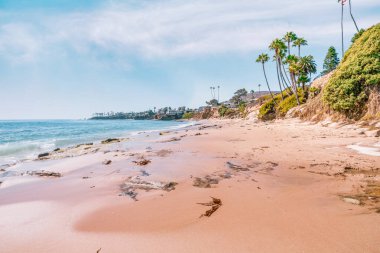 Treasure Island Park, Orange County, Kaliforniya, ABD 'deki palmiye ağaçları ile Laguna Sahili' nin güzel manzarası..