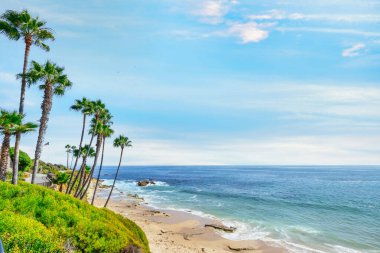 Treasure Island Park, Orange County, Kaliforniya, ABD 'deki palmiye ağaçları ile Laguna Sahili' nin güzel manzarası..