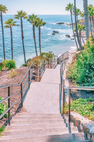 Treasure Island Park, Orange County, Kaliforniya, ABD 'deki palmiye ağaçları ile Laguna Sahili' nin güzel manzarası..