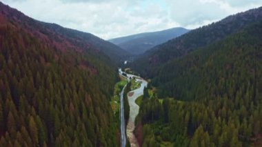 4K video, köknar ağaçları ve dağ nehri olan yeşil orman. Karpat Dağları 'nın güzel doğası, Batı Ukrayna, Avrupa. Hava aracı güzel dağlardaki manzarayı yakaladı.
