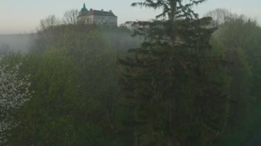 Hava görüntüsü. Lviv şehri yakınlarındaki Ortaçağ Olesko şatosu. Resimli bir tepenin üzerinde duruyor. Havadan. Bu, 13-18 asırlık eşsiz bir mimari ve tarih anıtı. İnsansız hava aracı görüntüleri. 4K