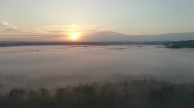 Havadan güzel büyülü manzara ufku, insansız hava aracı üstgeçişi, sisli, bulut tarlası gölü ve ormandaki gündoğumunun altın panoramik manzarası. 4K video