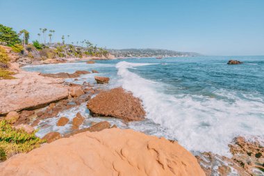 Treasure Island Park, Orange County, Kaliforniya, ABD 'deki palmiye ağaçları ile Laguna Sahili' nin güzel manzarası..